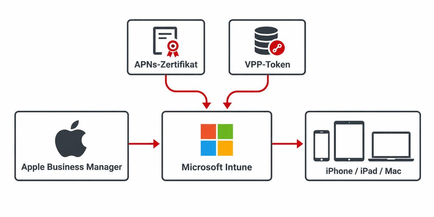 Schaubild: Apple Business Manager, APNs-Zertifikat und VPP-Token werden an Microsoft Intune angebunden, Intune verwaltet iPhone, iPad und Mac